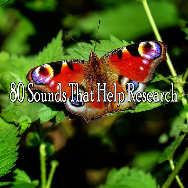 80 Sounds That Help Research
