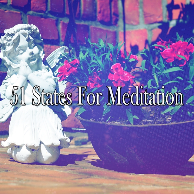 Couverture de 51 States For Meditation