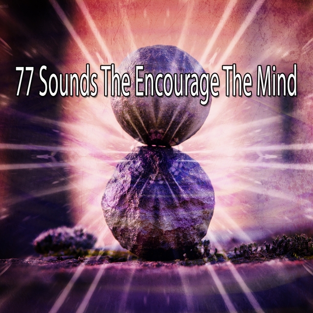 Couverture de 77 Sounds The Encourage The Mind