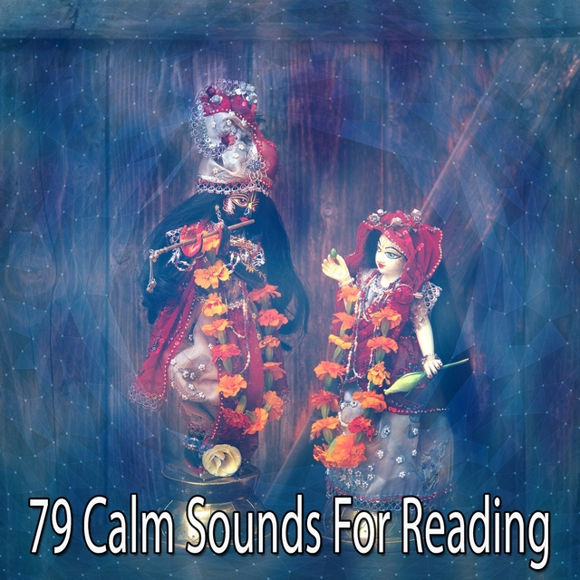 Couverture de 79 Calm Sounds For Reading