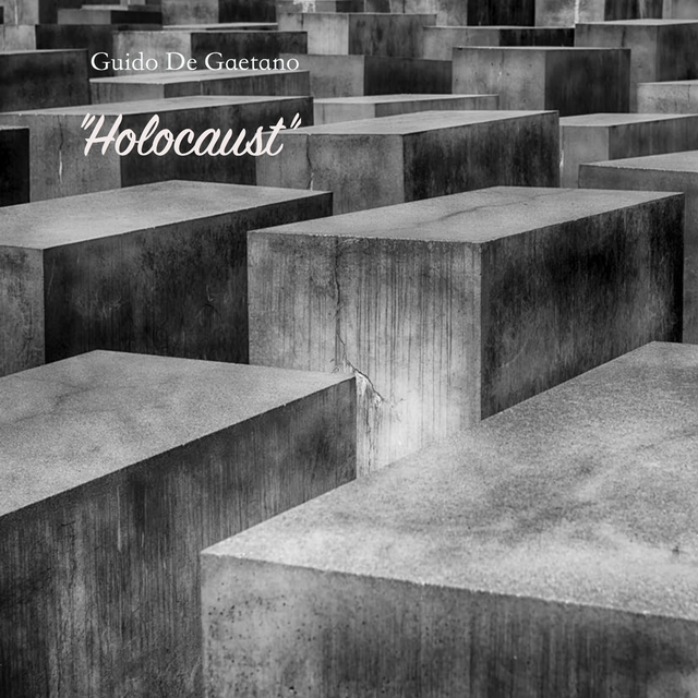 Couverture de Holocaust