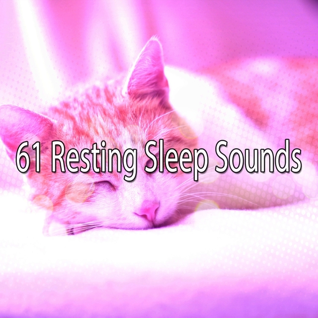 Couverture de 61 Resting Sleep Sounds