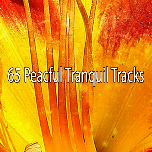 Couverture de 65 Peacful Tranquil Tracks