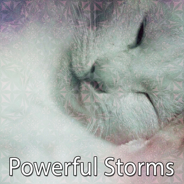 Couverture de Powerful Storms