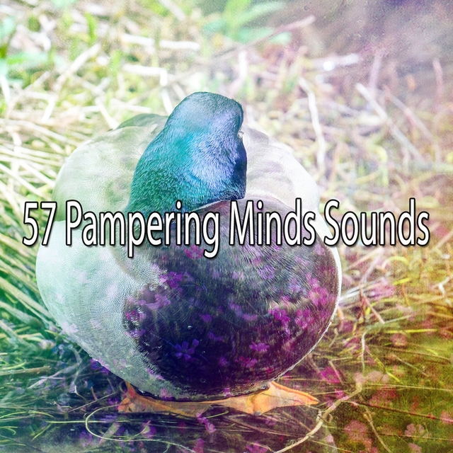 57 Pampering Minds Sounds