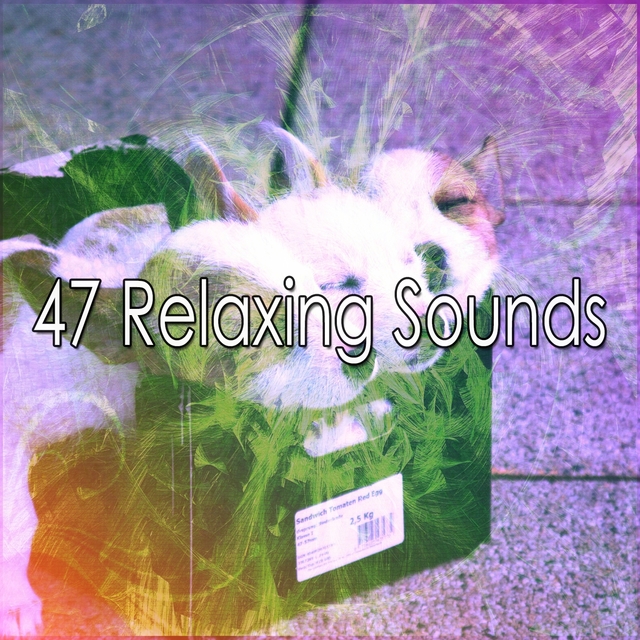 47 Relaxing Sounds
