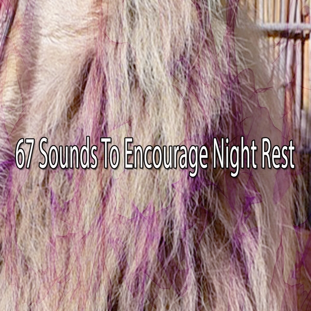 Couverture de 67 Sounds To Encourage Night Rest