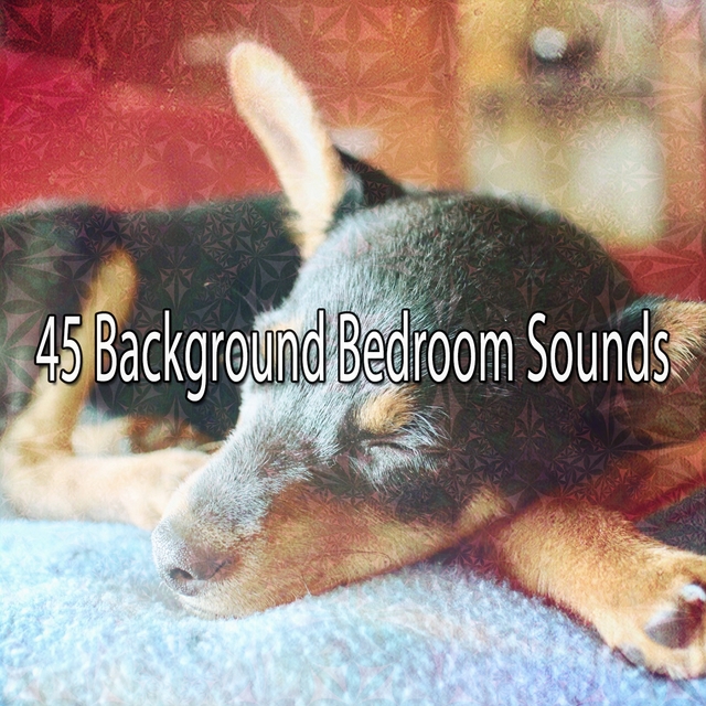 Couverture de 45 Background Bedroom Sounds