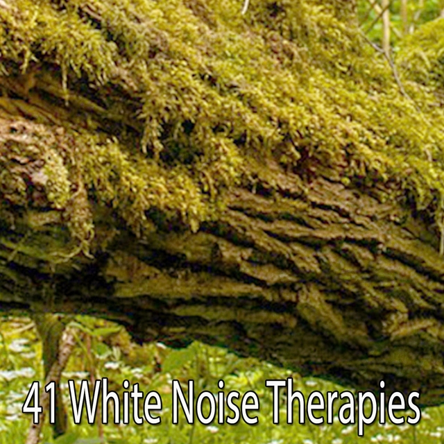 41 White Noise Therapies