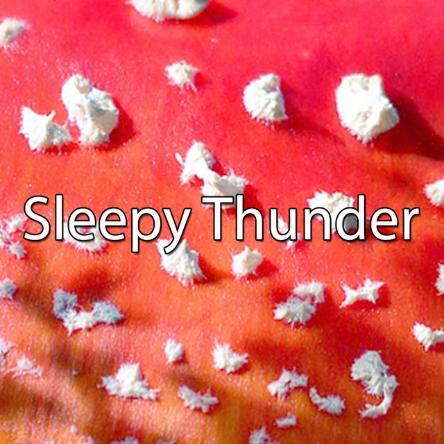 Couverture de Sleepy Thunder