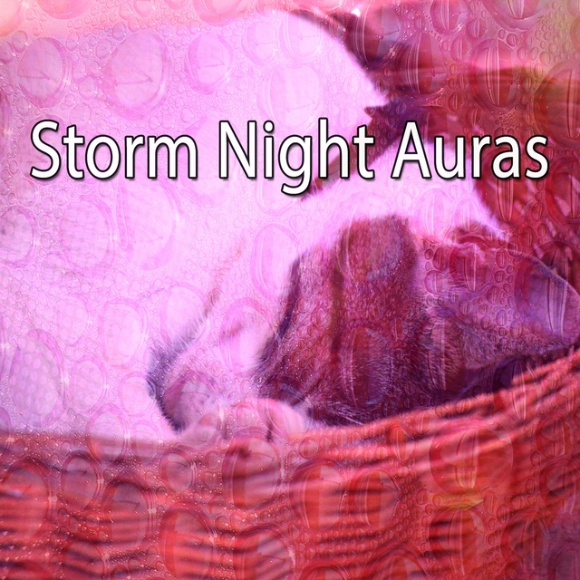 Couverture de Storm Night Auras