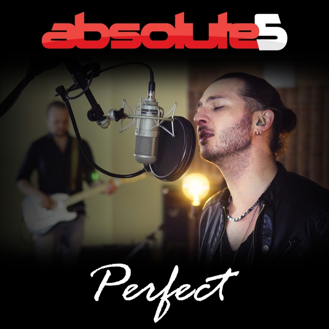 Couverture de Perfect