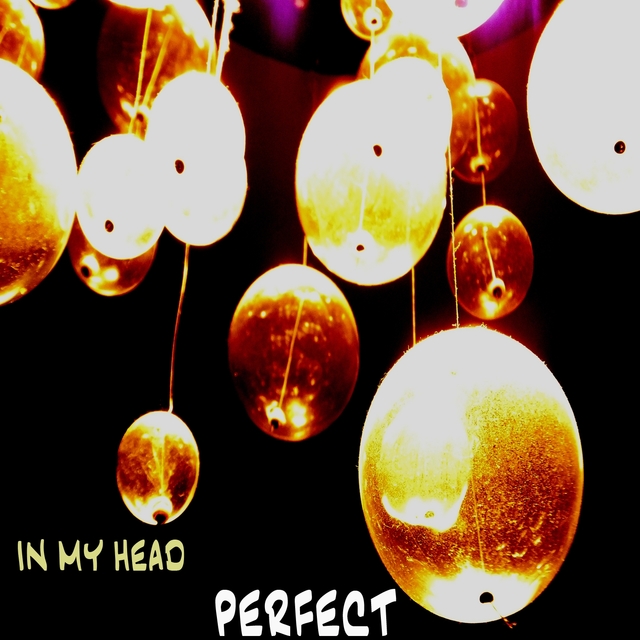 Couverture de Perfect