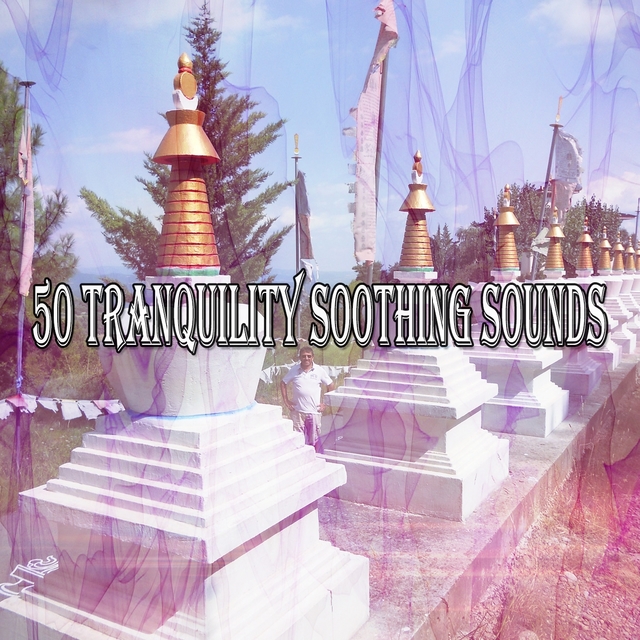 Couverture de 50 Tranquility Soothing Sounds