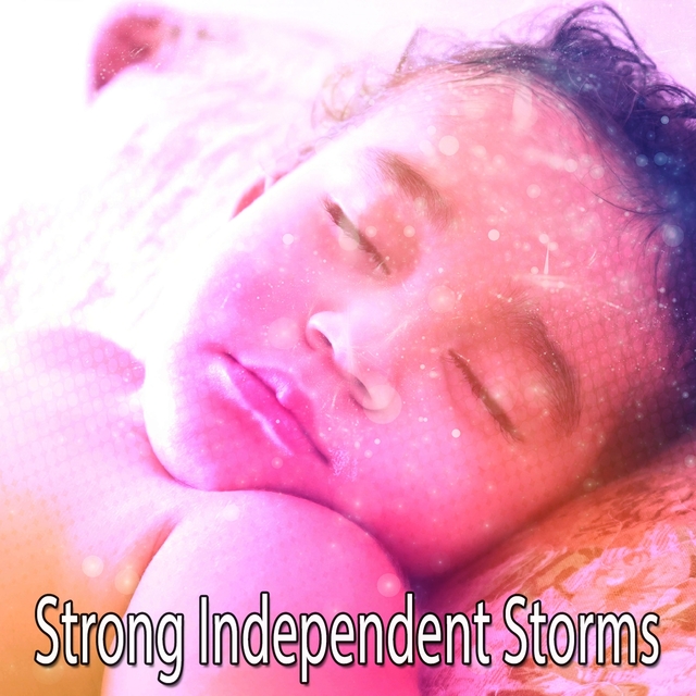 Couverture de Strong Independent Storms