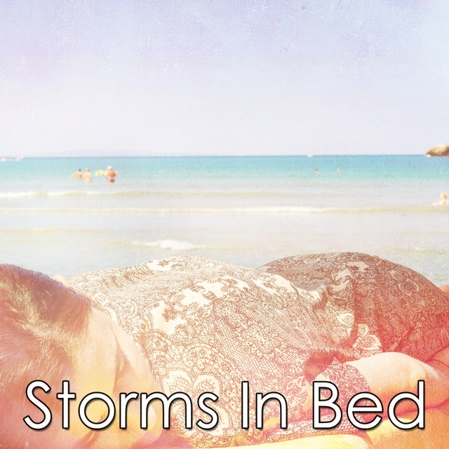 Couverture de Storms In Bed