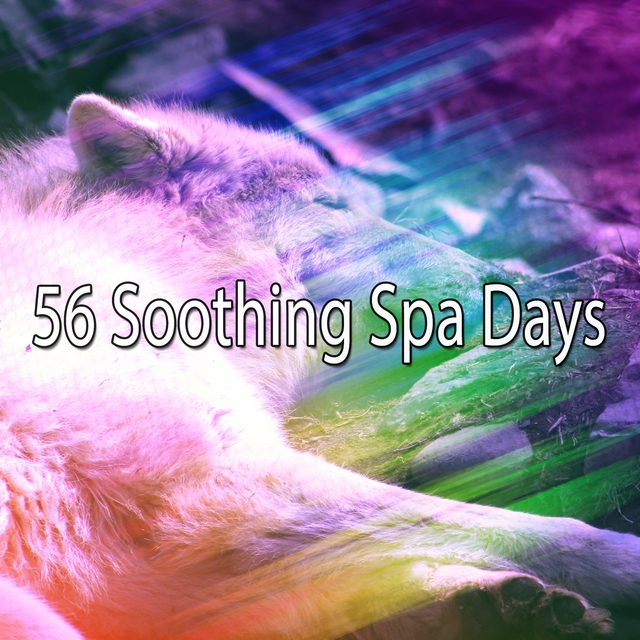 Couverture de 56 Soothing Spa Days