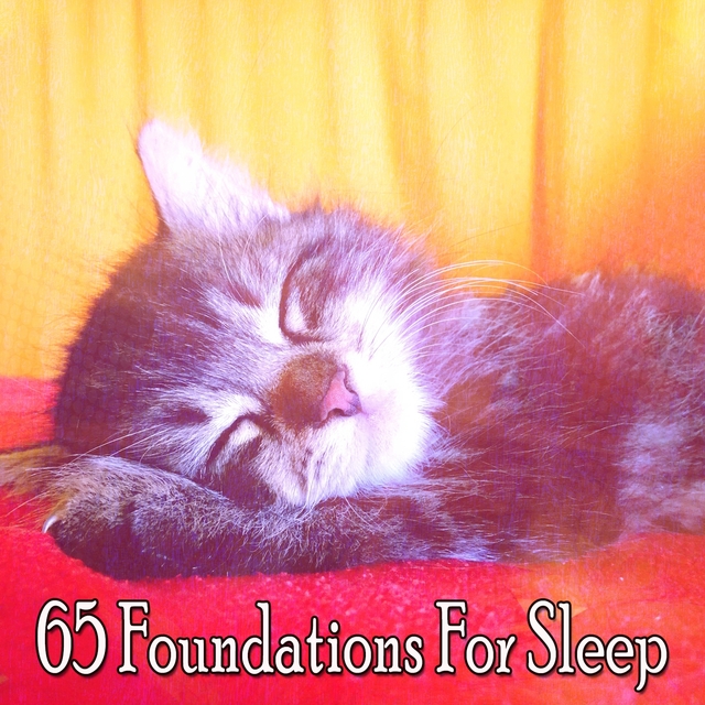 Couverture de 65 Foundations For Sleep