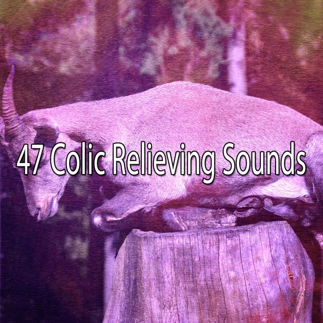 Couverture de 47 Colic Relieving Sounds