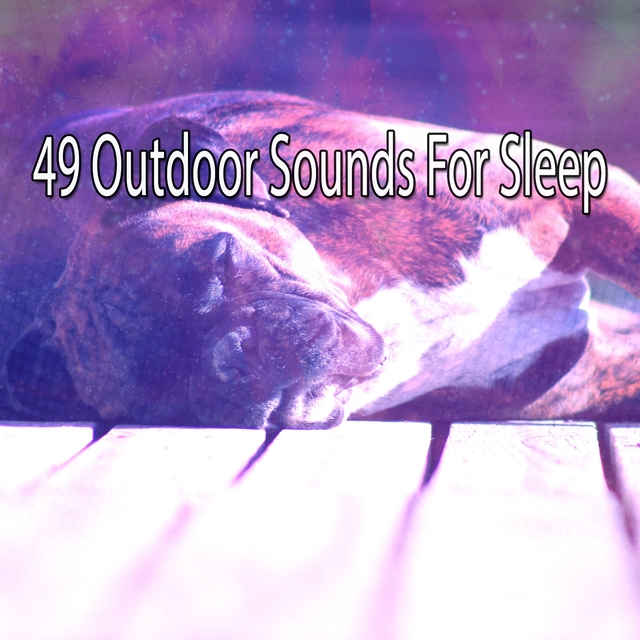 Couverture de 49 Outdoor Sounds For Sleep