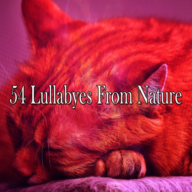 Couverture de 54 Lullabyes From Nature