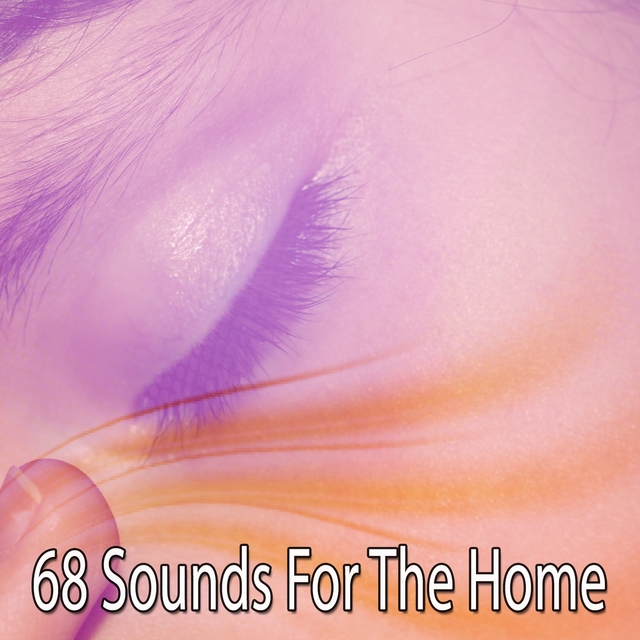 Couverture de 68 Sounds For The Home