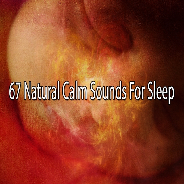 Couverture de 67 Natural Calm Sounds For Sleep