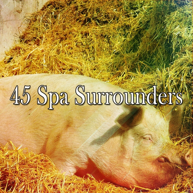 45 Spa Surrounders