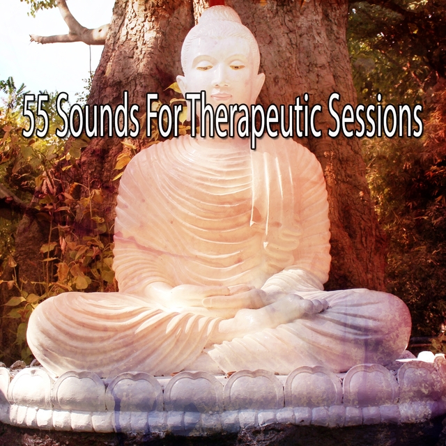 Couverture de 55 Sounds For Therapeutic Sessions