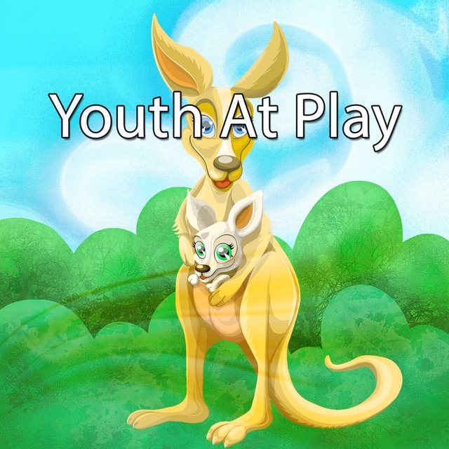 Couverture de Youth At Play