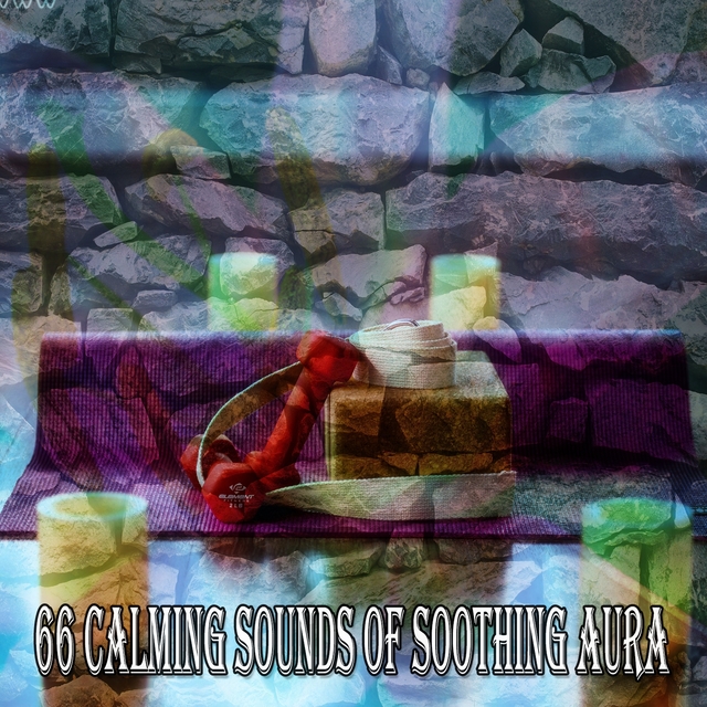 Couverture de 66 Calming Sounds Of Soothing Aura