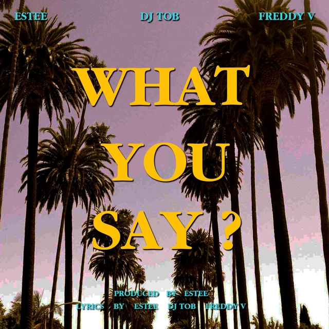 Couverture de What You Say