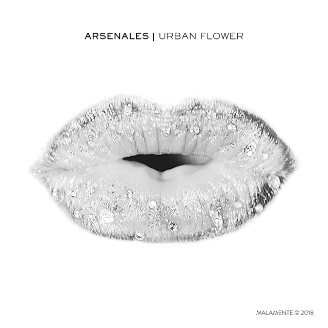 Couverture de Urban Flower