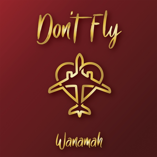 Couverture de Don't Fly