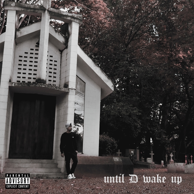 Couverture de Until D Wake Up