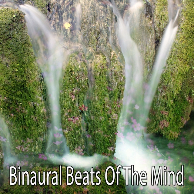 Binaural Beats Of The Mind