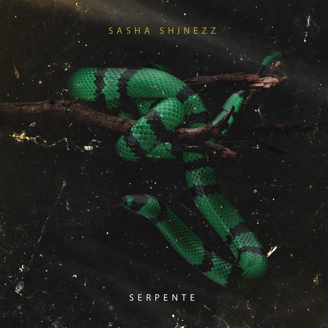 Couverture de Serpente