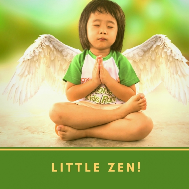 Couverture de Little Zen