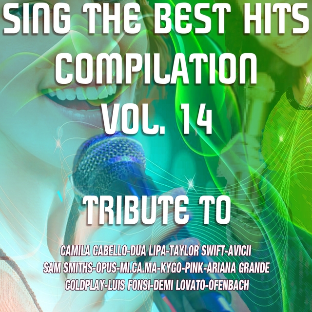 Sing The Best Hits Vol. 14