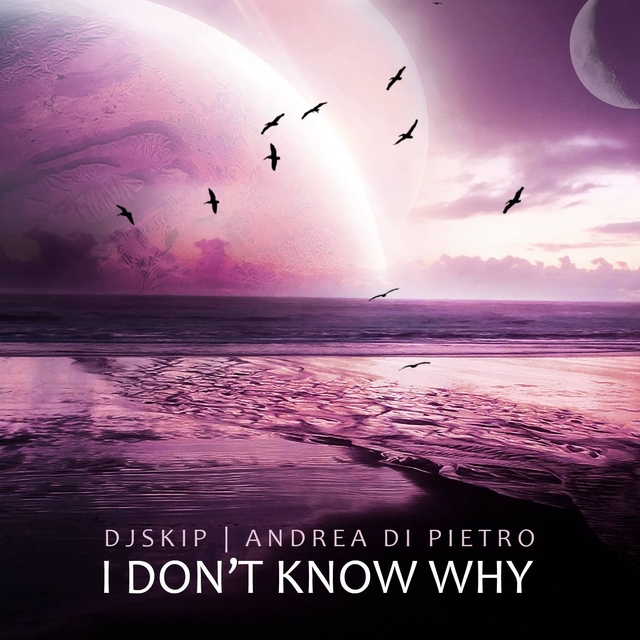 Couverture de I Don't Know Why