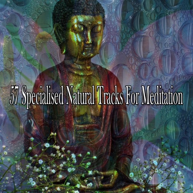 57 Specialised Natural Tracks For Meditation