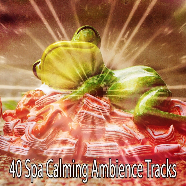 40 Spa Calming Ambience Tracks