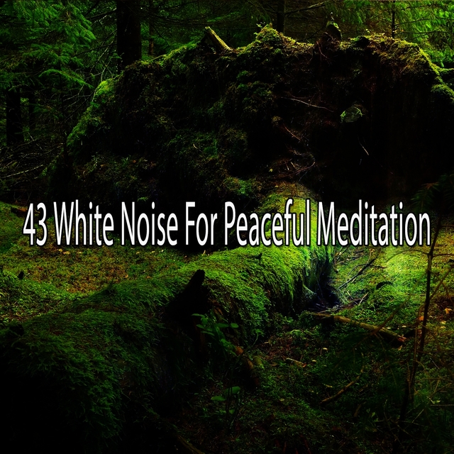 43 White Noise For Peaceful Meditation