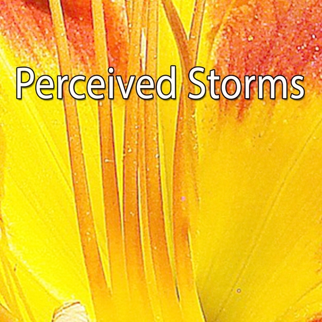 Perceived Storms