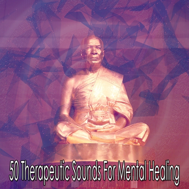 Couverture de 50 Therapeutic Sounds For Mental Healing