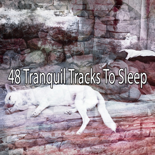 Couverture de 48 Tranquil Tracks To Sleep