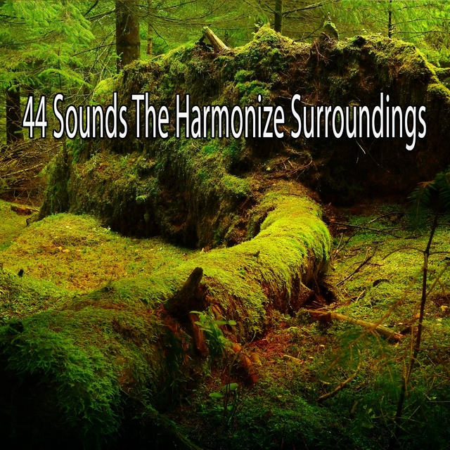 Couverture de 44 Sounds The Harmonize Surroundings