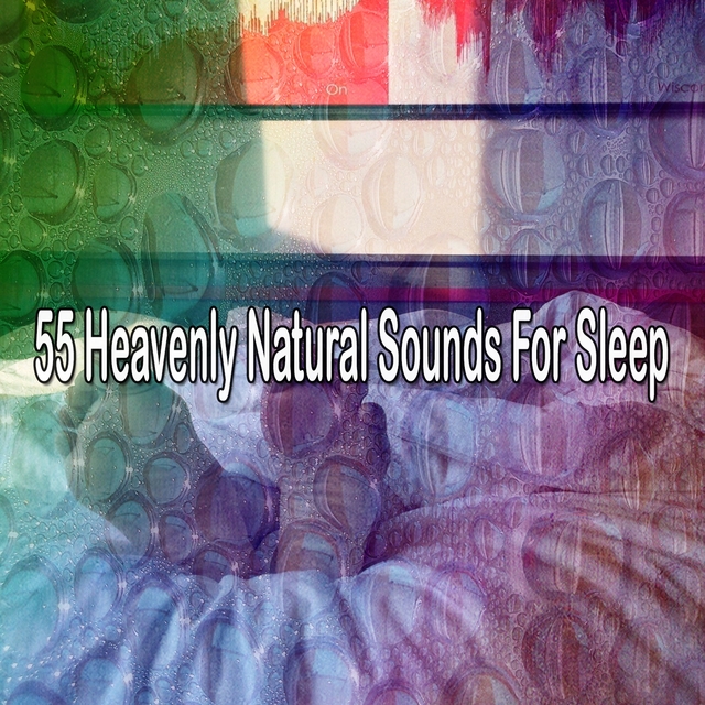 Couverture de 55 Heavenly Natural Sounds For Sleep