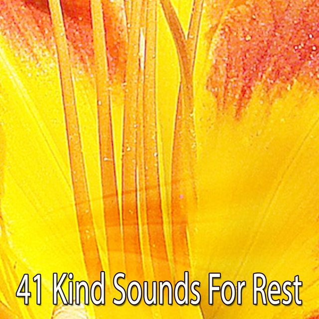 Couverture de 41 Kind Sounds For Rest