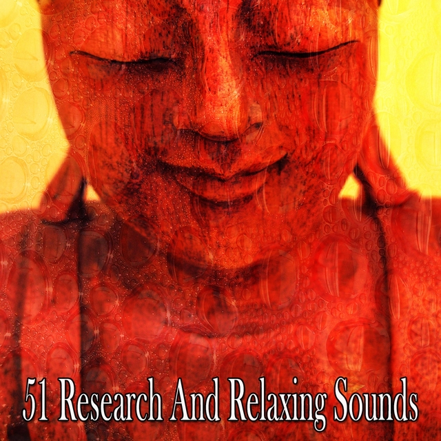 Couverture de 51 Research And Relaxing Sounds